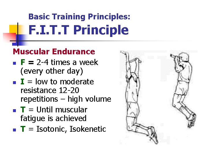 Basic Training Principles: F. I. T. T Principle Muscular Endurance n F = 2