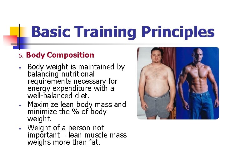 Basic Training Principles 5. § § § Body Composition Body weight is maintained by