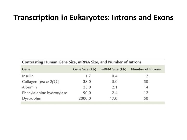 Transcription in Eukaryotes: Introns and Exons 