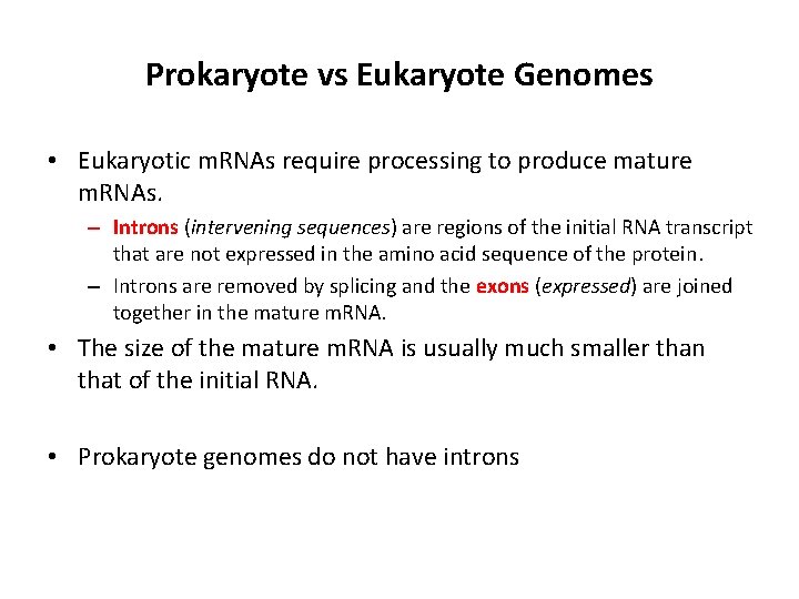 Prokaryote vs Eukaryote Genomes • Eukaryotic m. RNAs require processing to produce mature m.