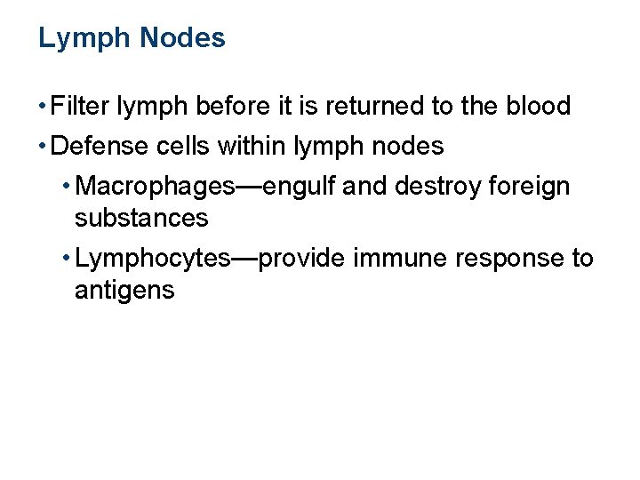 Lymph Nodes • Filter lymph before it is returned to the blood • Defense