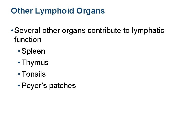 Other Lymphoid Organs • Several other organs contribute to lymphatic function • Spleen •