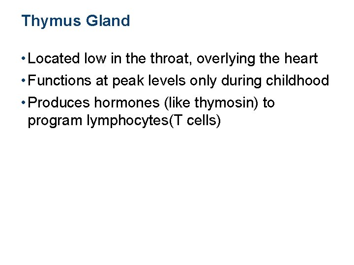 Thymus Gland • Located low in the throat, overlying the heart • Functions at