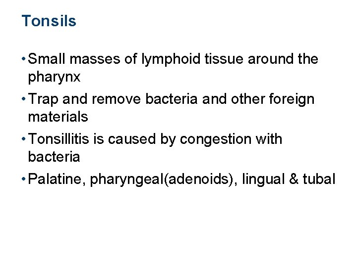 Tonsils • Small masses of lymphoid tissue around the pharynx • Trap and remove
