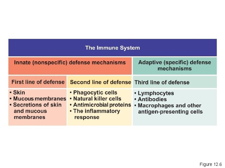 Figure 12. 6 