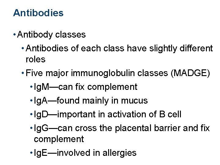 Antibodies • Antibody classes • Antibodies of each class have slightly different roles •
