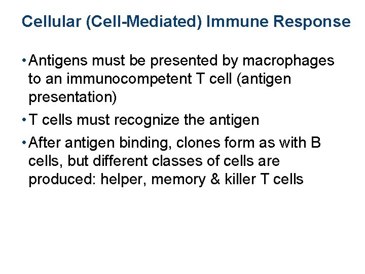 Cellular (Cell-Mediated) Immune Response • Antigens must be presented by macrophages to an immunocompetent