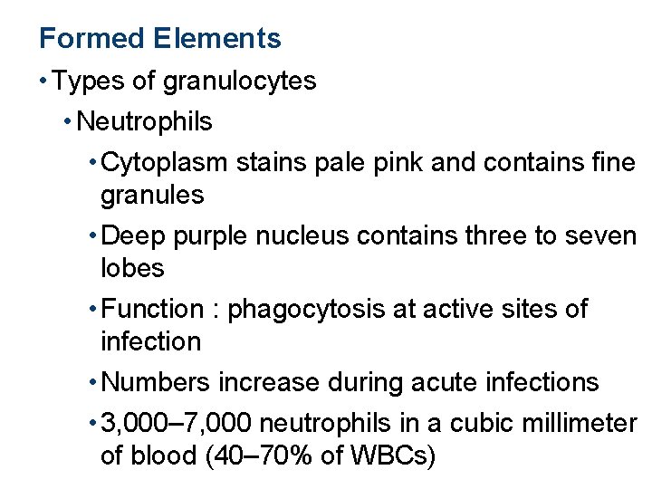 Formed Elements • Types of granulocytes • Neutrophils • Cytoplasm stains pale pink and