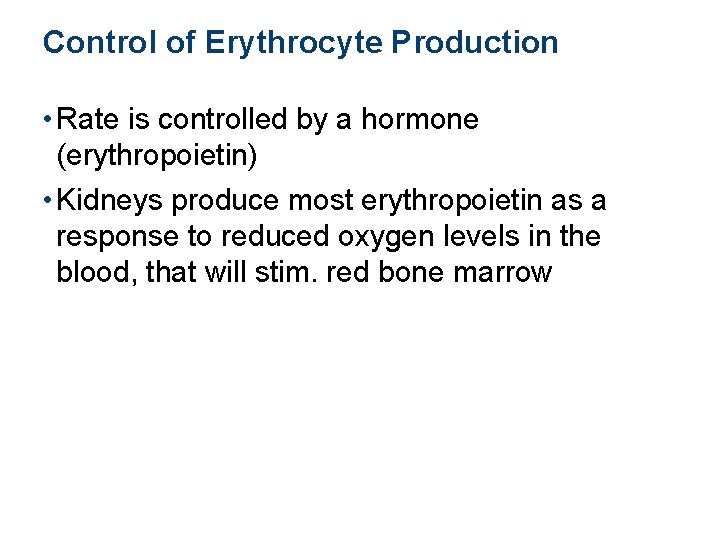 Control of Erythrocyte Production • Rate is controlled by a hormone (erythropoietin) • Kidneys