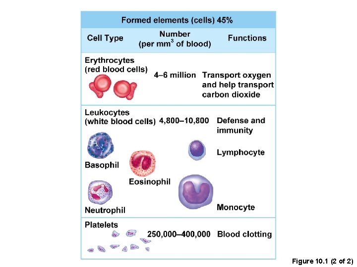 Figure 10. 1 (2 of 2) 