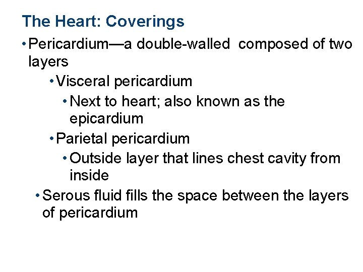 The Heart: Coverings • Pericardium—a double-walled composed of two layers • Visceral pericardium •