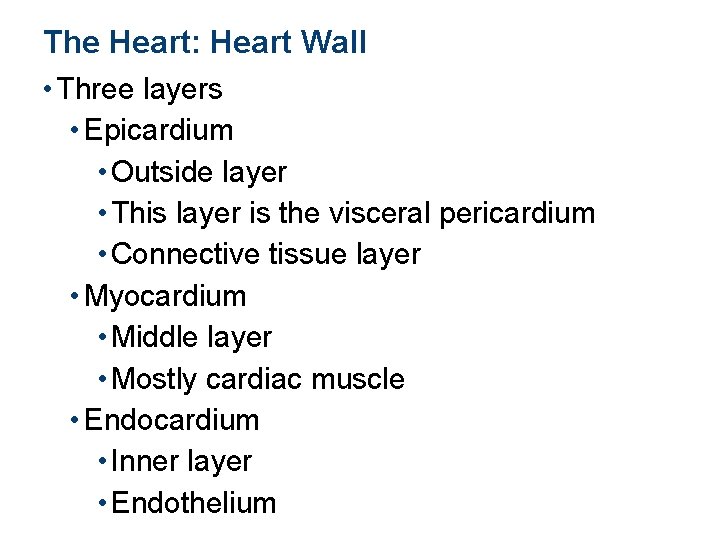 The Heart: Heart Wall • Three layers • Epicardium • Outside layer • This