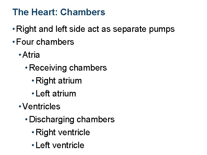 The Heart: Chambers • Right and left side act as separate pumps • Four