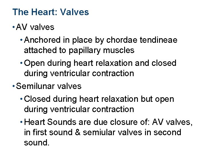 The Heart: Valves • AV valves • Anchored in place by chordae tendineae attached