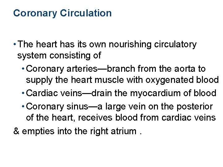Coronary Circulation • The heart has its own nourishing circulatory system consisting of •