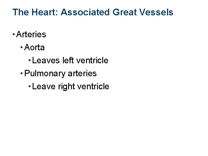 The Heart: Associated Great Vessels • Arteries • Aorta • Leaves left ventricle •