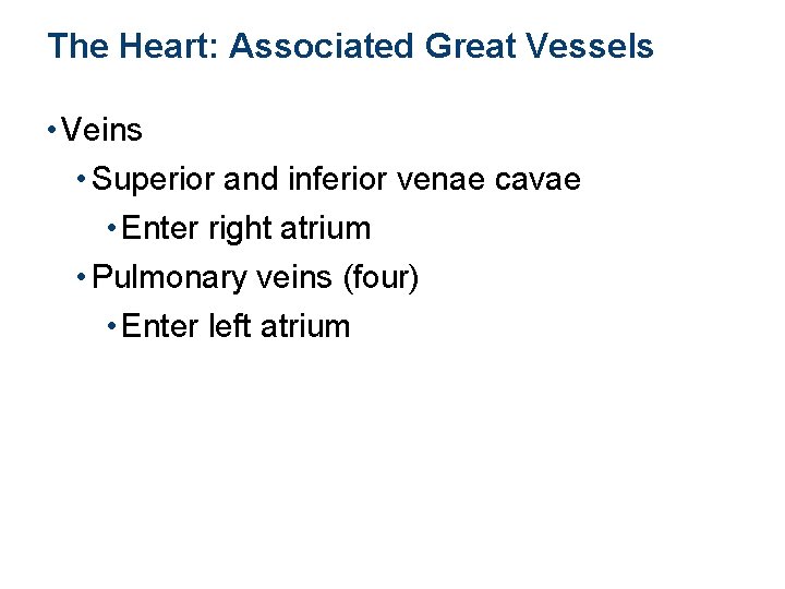 The Heart: Associated Great Vessels • Veins • Superior and inferior venae cavae •