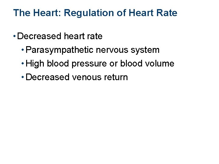 The Heart: Regulation of Heart Rate • Decreased heart rate • Parasympathetic nervous system