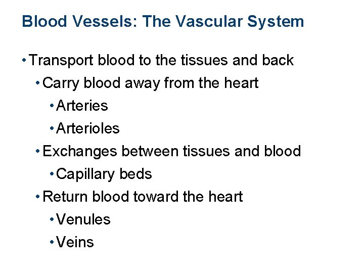 Blood Vessels: The Vascular System • Transport blood to the tissues and back •