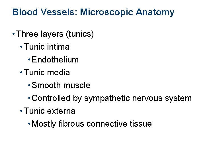 Blood Vessels: Microscopic Anatomy • Three layers (tunics) • Tunic intima • Endothelium •