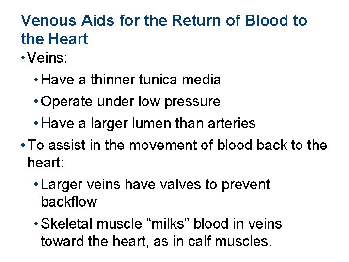 Venous Aids for the Return of Blood to the Heart • Veins: • Have