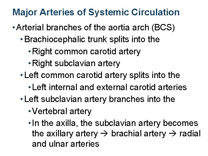 Major Arteries of Systemic Circulation • Arterial branches of the aortia arch (BCS) •