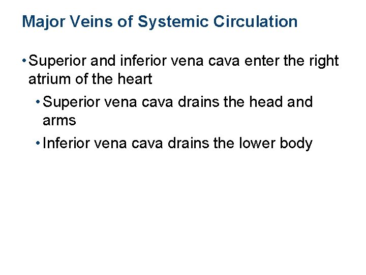Major Veins of Systemic Circulation • Superior and inferior vena cava enter the right