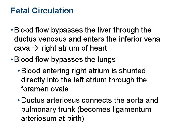 Fetal Circulation • Blood flow bypasses the liver through the ductus venosus and enters