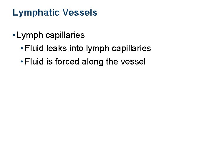 Lymphatic Vessels • Lymph capillaries • Fluid leaks into lymph capillaries • Fluid is