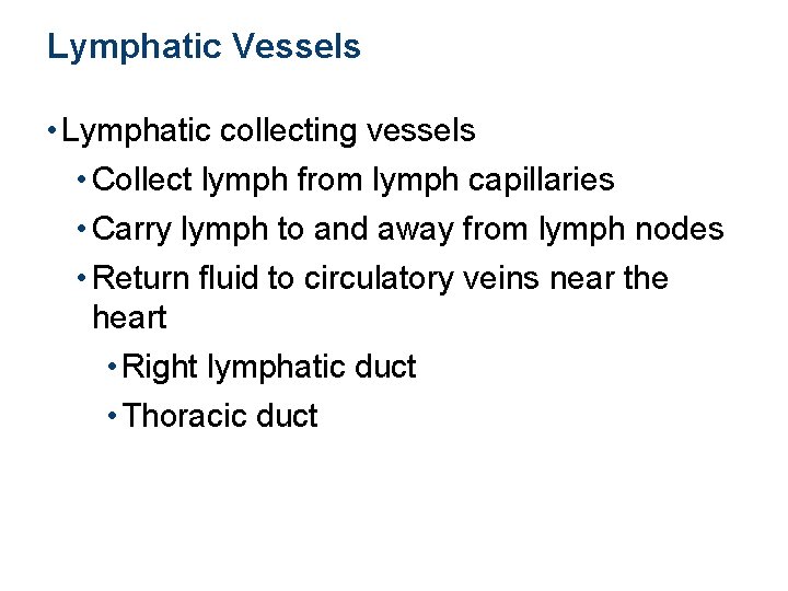 Lymphatic Vessels • Lymphatic collecting vessels • Collect lymph from lymph capillaries • Carry