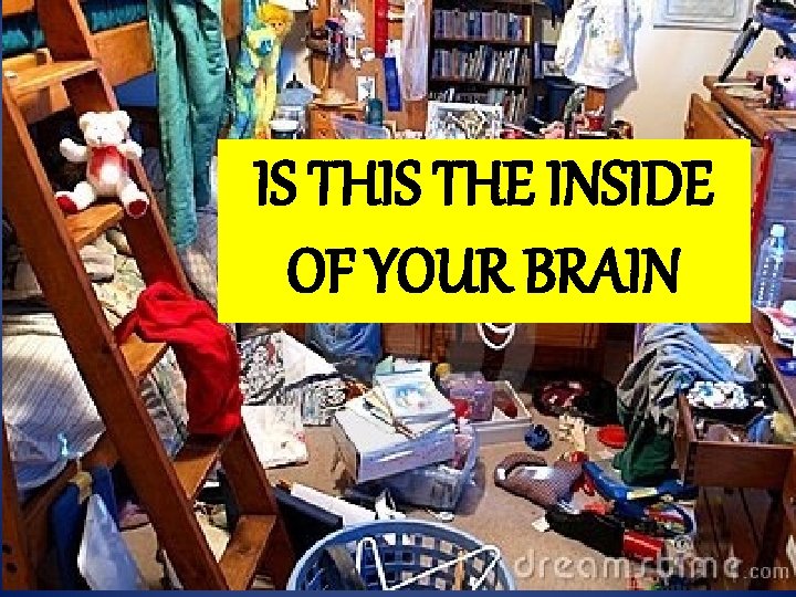 IS THE INSIDE OF YOUR BRAIN 