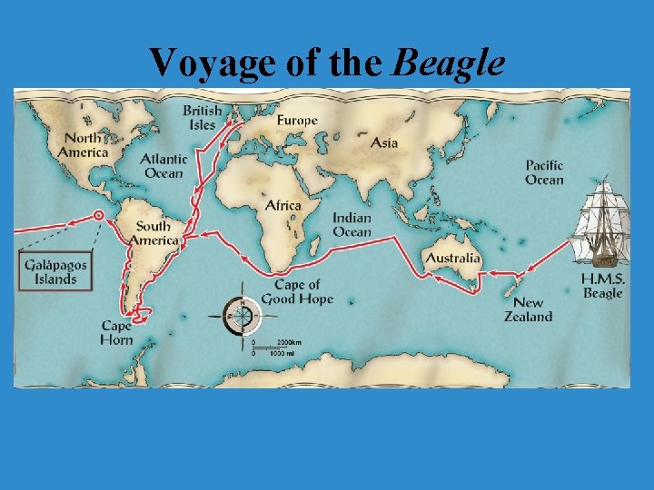 Voyage of the Beagle 