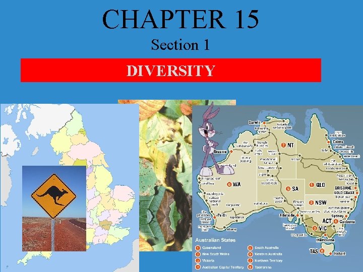 CHAPTER 15 Section 1 The Puzzle of Life's Diversity DIVERSITY 