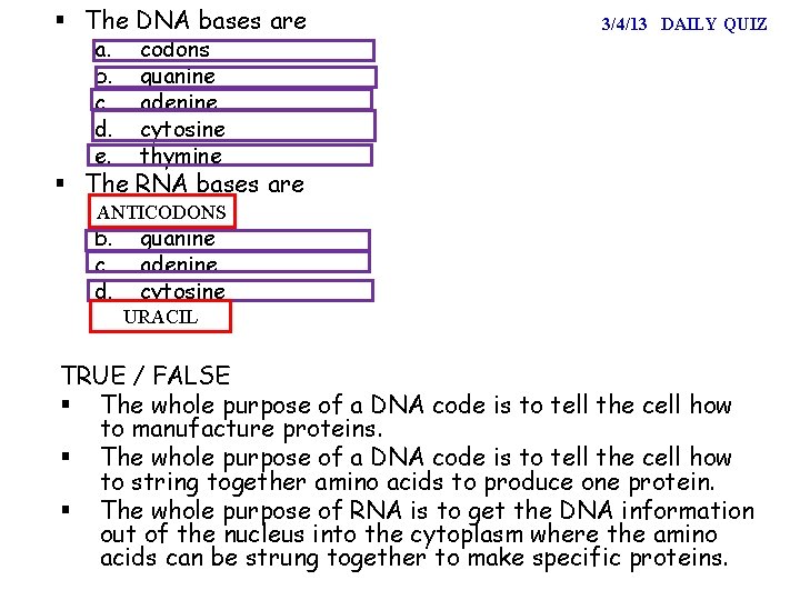 § The DNA bases are a. b. c. d. e. codons guanine adenine cytosine