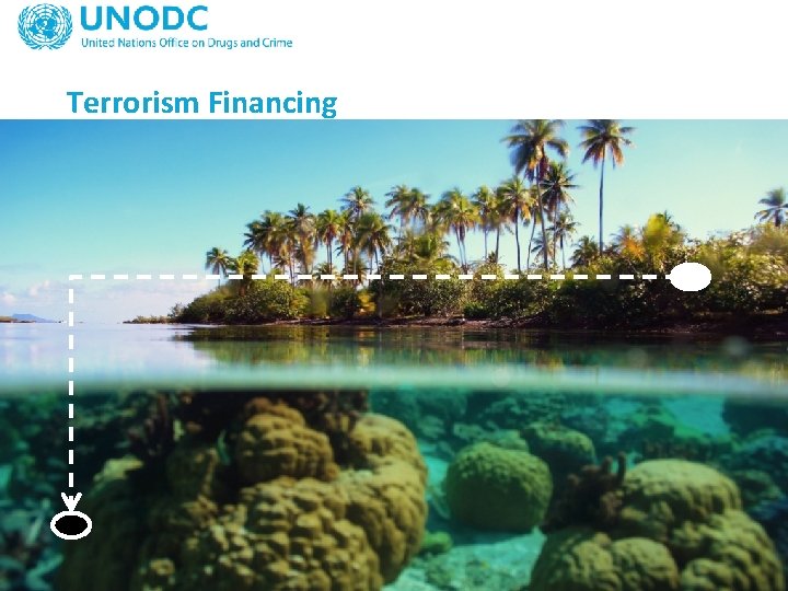 Terrorism Financing 