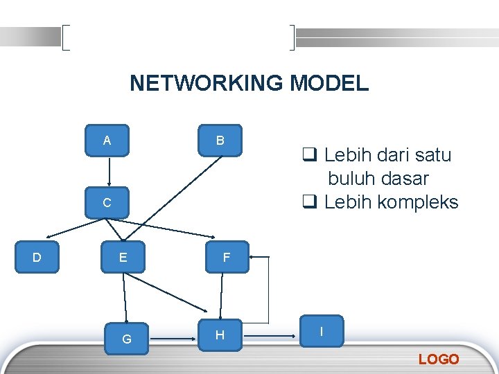 NETWORKING MODEL A B C D E G q Lebih dari satu buluh dasar