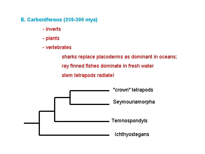 E. Carboniferous (359 -300 mya) - inverts - plants - vertebrates sharks replace placoderms