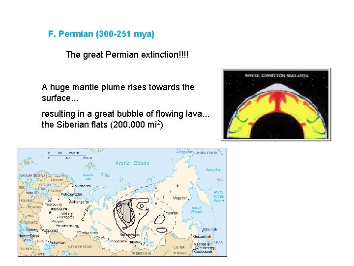 F. Permian (300 -251 mya) The great Permian extinction!!!! A huge mantle plume rises