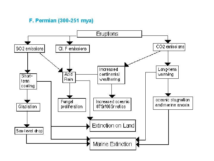 F. Permian (300 -251 mya) 