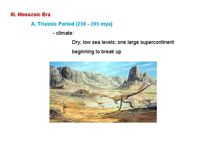 III. Mesozoic Era A. Triassic Period (250 - 205 mya) - climate: Dry; low
