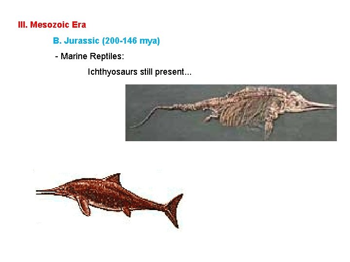 III. Mesozoic Era B. Jurassic (200 -146 mya) - Marine Reptiles: Ichthyosaurs still present.