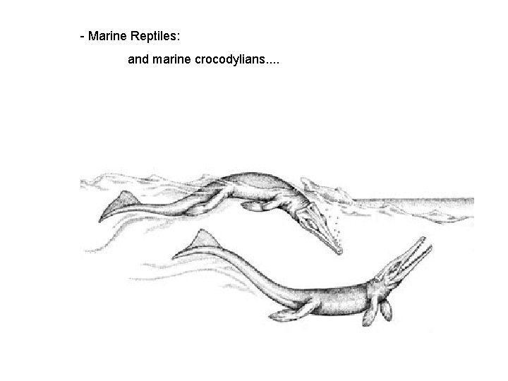 - Marine Reptiles: and marine crocodylians. . 