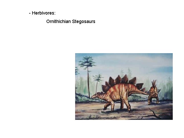 - Herbivores: Ornithichian Stegosaurs 