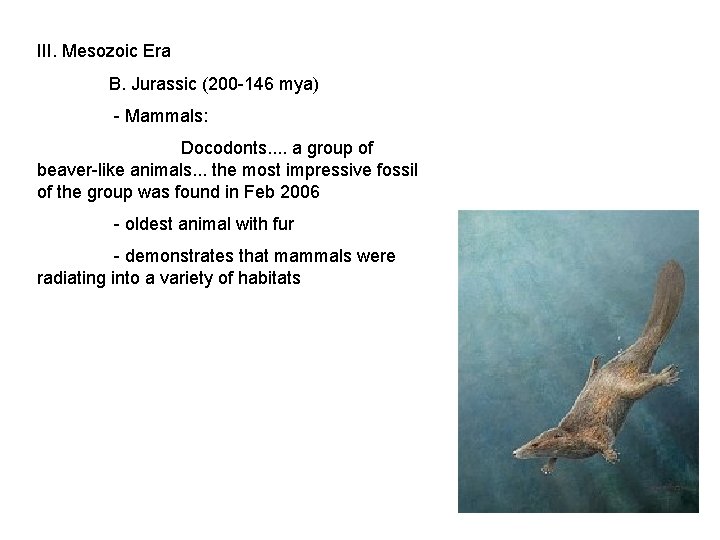 III. Mesozoic Era B. Jurassic (200 -146 mya) - Mammals: Docodonts. . a group