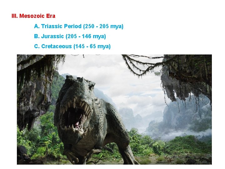 III. Mesozoic Era A. Triassic Period (250 - 205 mya) B. Jurassic (205 -