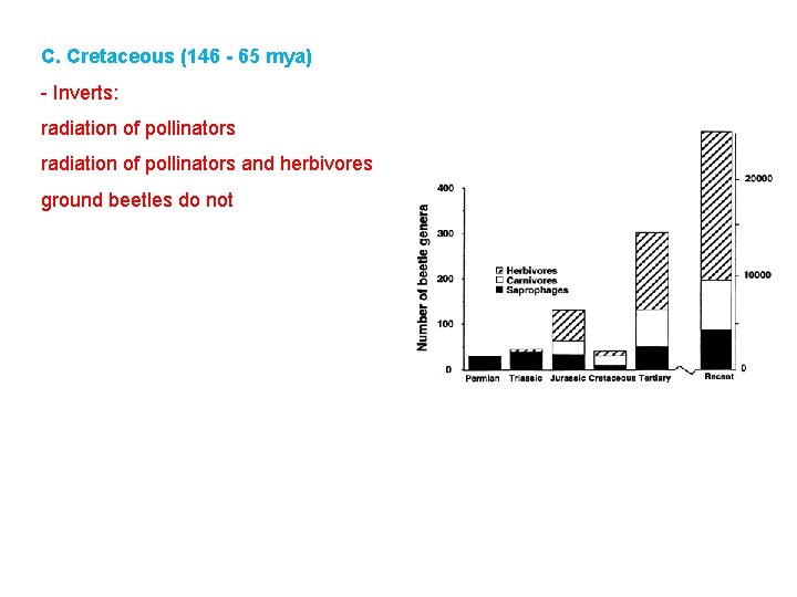 C. Cretaceous (146 - 65 mya) - Inverts: radiation of pollinators and herbivores ground