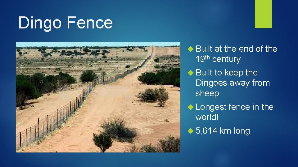 Dingo Fence Built at the end of the 19 th century Built to keep