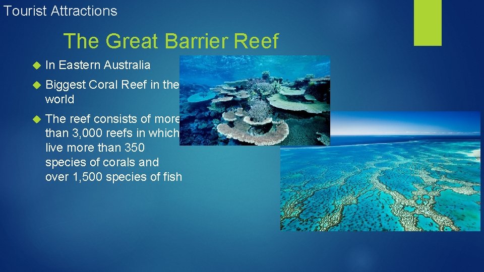 Tourist Attractions The Great Barrier Reef In Eastern Australia Biggest Coral Reef in the