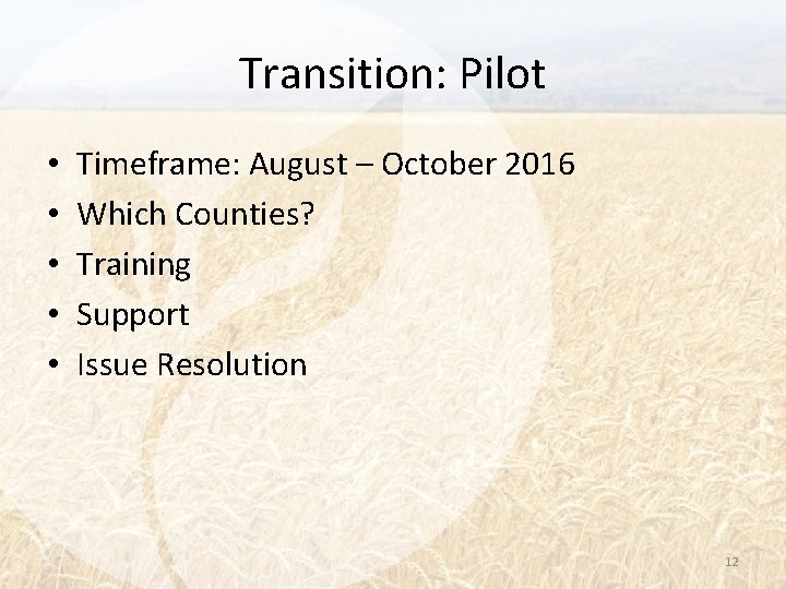 Transition: Pilot • • • Timeframe: August – October 2016 Which Counties? Training Support