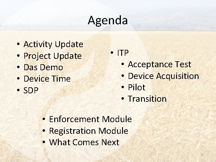 Agenda • • • Activity Update Project Update Das Demo Device Time SDP •